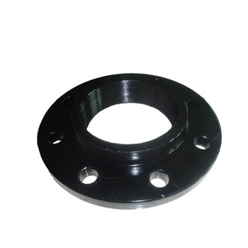 ASTM A182 F316L Sw Flange RF شفة الفولاذ المقاوم للصدأ 