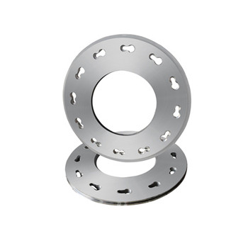 Ss 316 Stainless Steel Blind Flange (YZF-F143) 