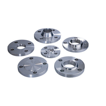 ASTM A182 F 316 Stainless Steel Flanges 