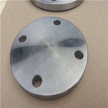Hot Sale 304 Stainless Steel Forged Pipe/Plate Fitting Floor Slip on/Ring/Blind Dn 100 Flange 