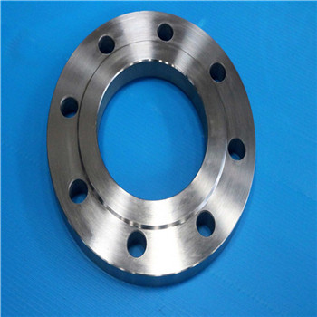 F316/316L F321 Stainless Steel Forged Flange 