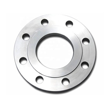 A182 F11 Cl600 Wlded Neck Raise Face Stainless Steel Forged Flange 