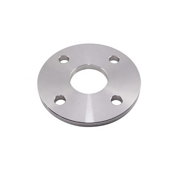 En/DIN Stainless Steel Weld Neck Flange (3RE60, 1.4417, X2CrNiMoSi195)