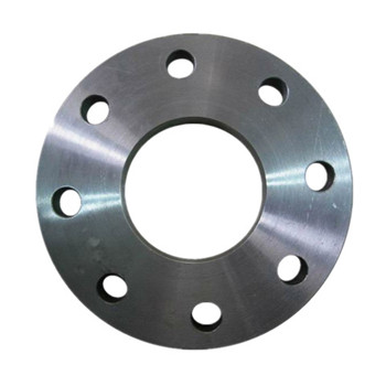 Flange de aço inoxidável 1.4401 Flange de aço inoxidável AISI 316, Flange de aço inoxidável X5crnimo17-12-2 