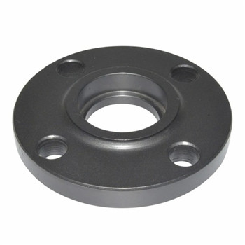 Stainless Steel Forged So Blind Blind/Slipon/Threaded/Socket Welding/Steel Pipe/Plate/Weld Neck/Carbon Steel Flange for ANSI 