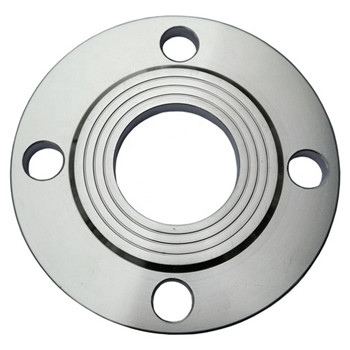 Hot Sell DIN Pn10 Pn16 Plate RF SUS304 316 Stainless Steel Flange 