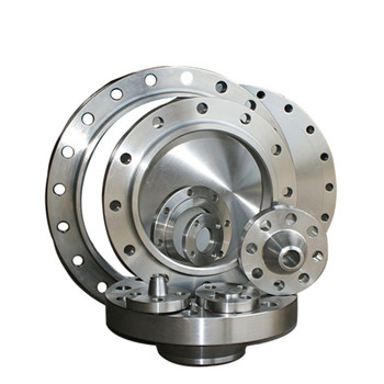 Stainless Steel Welding Neck Threaded Forged Flanges Flanges 