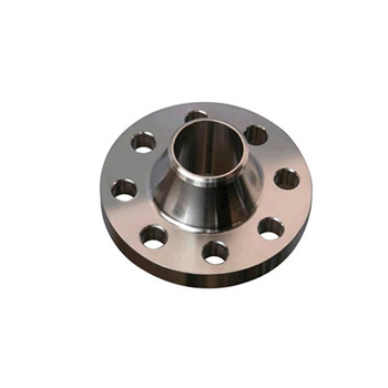 Hot Selling Stainless Steel Flange DIN Pn16 304 316 