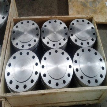 Ace Stainless Steel Forged Blind Flange 