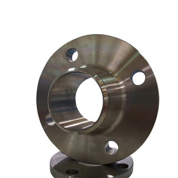 DIN2631 Pn25 Stainless Steel 6 Inch Forged Plate Flange. 