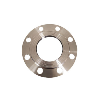 300 Series Stainless Steel Forged Flange for Pipeline 
