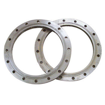 DIN Plate A182 F304 F304L SS304 Stainless Steel Flange 