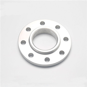 Wnrf Sorf Stainless Steel Flange with A182 F304 F304L F316 F316L 