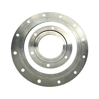 A182 F304 B16.5 Stainless Steel Forged Blind Pipe Flange Cdfl136 