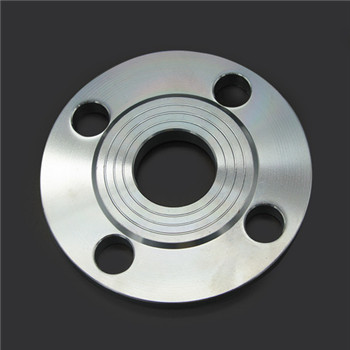 Customizable GOST/DIN Standard Stainless Steel Forged Flange 