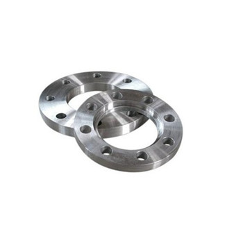 Best Price 1.4539 (Alloy 904L) Super Austenitic Stainless Steel Flange 