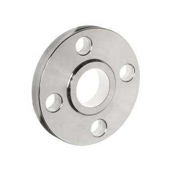 ASTM A182 F304 F304L F316 F316L Stainless Steel Forged Flange 