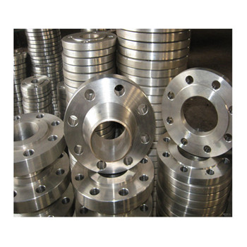 OEM ASTM A182 F316L Stainless Steel Flanges with Precision Casting 