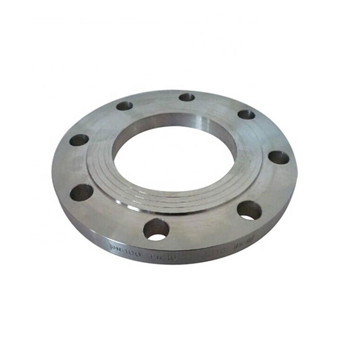 Fabricante de flange de piso de aço inoxidável 304 com o flange Wn 