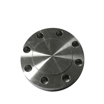 Flange En1092 Type01 Pl RF / FF Aço Inoxidável Forjado 