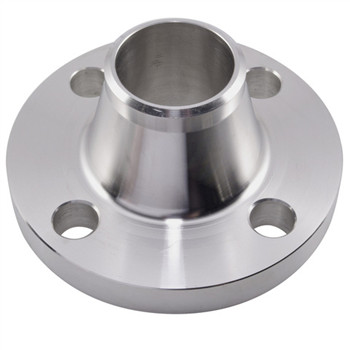 ASTM A182 F304L F316L Casting Forged Stainless Steel Flange 