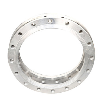304 316 321 904L 254smo Stainless Steel Flange Cdfl016 