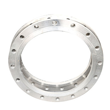 ASTM A182 F51/53 Large Diameter Duplex Stainless Steel Flange 