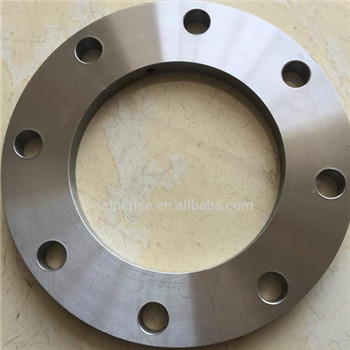 ANSI/DIN/GB Welding Neck Flange Stainless Steel Pipe Blank Flange 