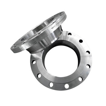Wn Stainless Steel Weld Neck Flange (A182 F304H, F316H, F317) 