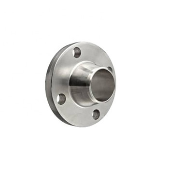 ASTM A182 F 304 Stainless Steel Flanges 