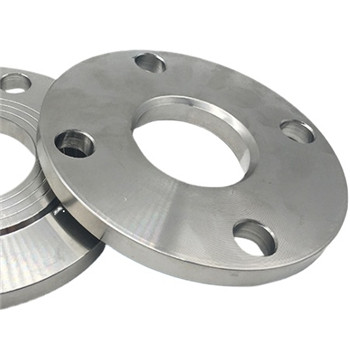 ASME B16.5 Ss F316 / 316L Wn Flange Forged Flange with Ce (KT0276) 