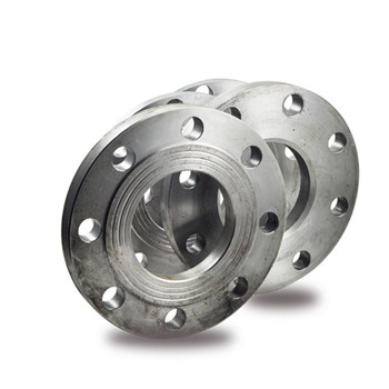 Stainless Steel ASTM A182 F304L Sw RF Flange