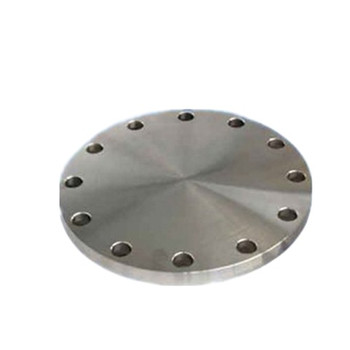 DIN BS4504 Carbon Steel Forged Plate Flange (ss400 flange) 