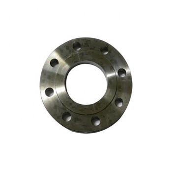 Flange Forjado DIN 2635 Aço Inoxidável Wnrf Flange de Pescoço de Soldagem 