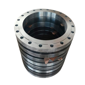 Flange de orifício de aço inoxidável forjado ASTM A182 F316L Cl150 