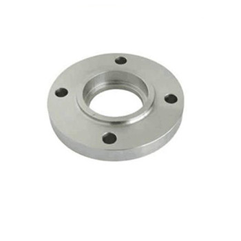 Hot Sale 304 Stainless Steel Forged Pipe/Plate Fitting Floor Slip on/Ring/Blind Dn 100 Flange 