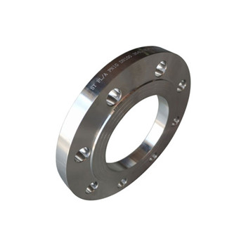 ASTM A182 SS316 316L SS304 304L F304/316 Stainless Steel Forged Flange 