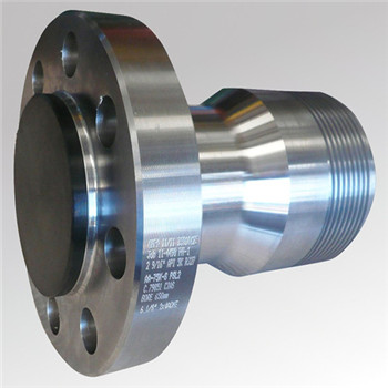 A182 F51 Duplex 2205 Stainless Steel 300lb Flange 