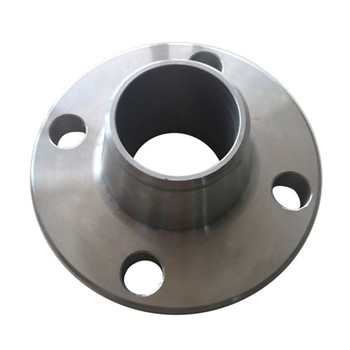 JIS B2220 Steel Flange 304 316 304L 316L Stainless Steel Flange 