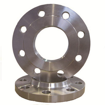 SUS304 Steel Flange 