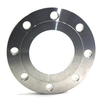 OEM Forged Stainless Steel Blind Flange with CNC Machining 