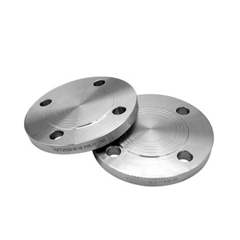 A182 F304 F316L F304L Wn Stainless Steel Weld Neck Flange 