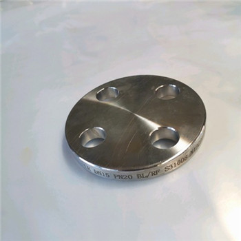 High Quality Forged Stainless Steel Carbon Steel F304 F316 ANSI Flange 