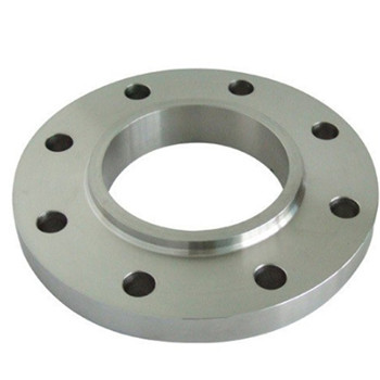 ASTM A182 F304L F316L F304/316 SS304/316 Stainless Steel Forged Flange 