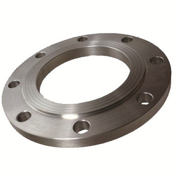 ASTM A182 F304/316 F304/316L Forged Stainless Steel Slip on RF Flange 