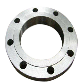 ASTM A182 F316 F316L F304/F314L Stainless Steel Forged Flange 