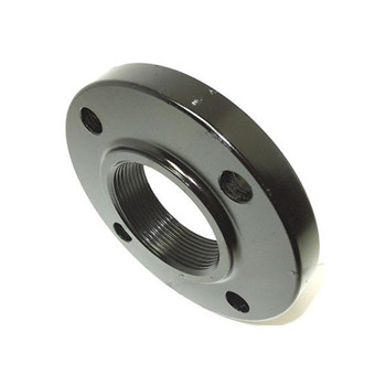 A182 F304 F316L F304L Wn Stainless Steel Weld Neck Flange 