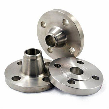 ANSI RF 304L Stainless Steel Forged Weld Neck Flange 