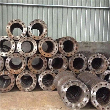 OEM 304/L Stainless Steel Forging Welded Neck Flange 