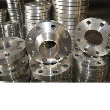 ANSI B16.5 Wn Flange 304 316 304L 316L Stainless Steel OEM Manufacturer 